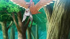 LV029 - Poichigeon d'un Dresseur et Rapasdepic (Flash-back).png