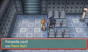 Mont Mémoria Pierre Nuit ROSA.png
