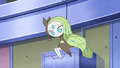 Meloetta (sauvage)