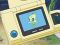 Description de Celebi dans l'épisode 429.