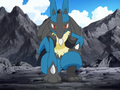 Lucario (d'Armand)