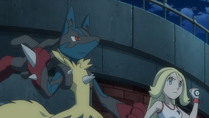 XY043 - Méga-Lucario de Cornélia.png