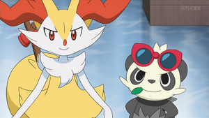 XY105 - Roussil et Pandespiègle de Serena.png