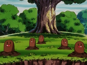 EP143 - Taupiqueur.png