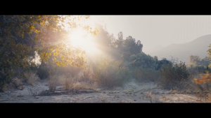 Film Détective Pikachu - Statitik Sauvage.png