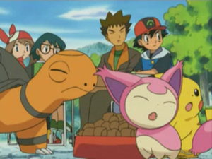 AG079 - Skitty de Flora.png