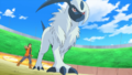 Absol (de Jean-Marc)