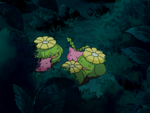 DP071 - Granivol et Floravol.png