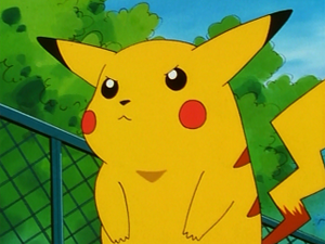 EP009 - Pikachu de Sacha.png