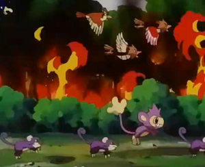 EP253 - Rattata, Roucool, Piafabec et Capumain.png