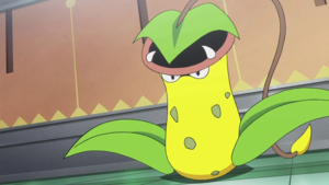 Empiflor de Red.png