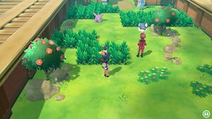 Expert Nidoqueen.jpg