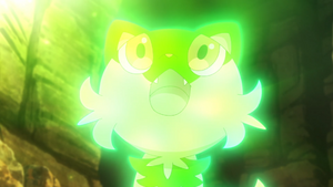 LH023 - Poussacha gagne en puissance avec Champ Herbu.png