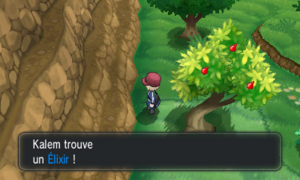 Route 21 Élixir XY.png