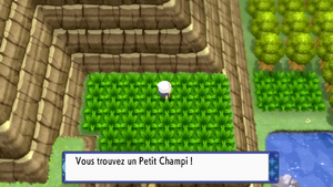 Chenal 226 Petit Champi 1 DEPS.png