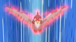 Colombeau Rengorgement.png