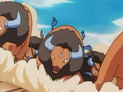 Tauros(de Sacha)