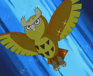 EP272 - Noarfang de Sacha.png