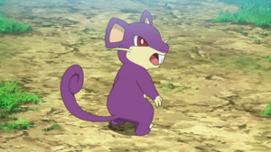LV142 - Rattata.png