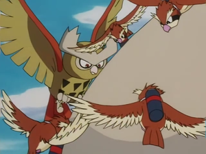 Noarfang Picpic.png
