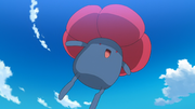 Rafflesia(de la Team Rocket)