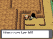 Route 32 Super Ball 2 HGSS.png