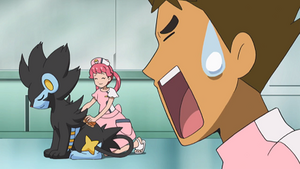 SL102 - Luxray d'un Dresseur.png