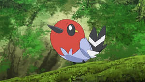 XY004 - Passerouge de Sacha.png