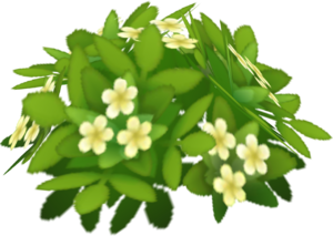 Buisson SL.png