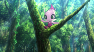 Celebi sauvage - Film 23.png