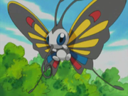Charmillon(de Sakura)