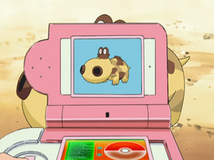 DP044 - Hippopotas Pokédex.png