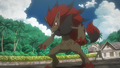 Zoroark (de Mohn)