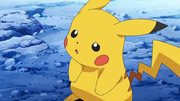 Pikachu(de Sacha)