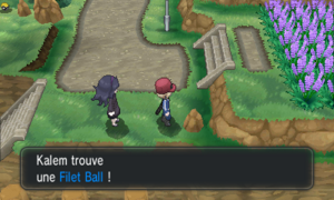 Route 19 Filet Ball XY.png