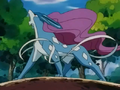 Suicune (Sauvage)