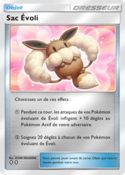 Sac Évoli (Booster de Luxe ex 309)
