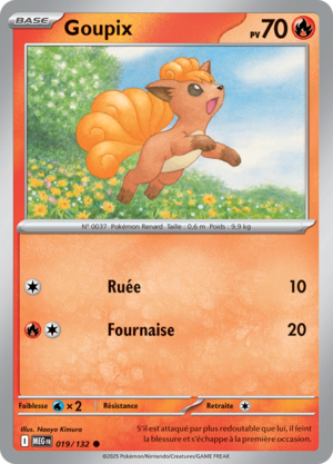 Carte Méga-Évolution 019.png