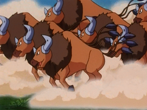 EP115 - Tauros de Sacha.png