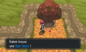 Route 15 Baie Mepo XY.png
