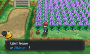 Route 5 Attaque + XY.png
