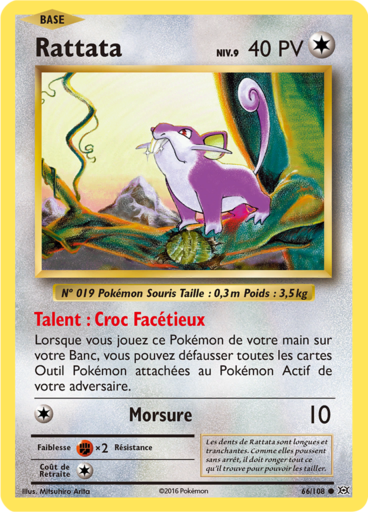 Rattata (XY Évolutions 66)