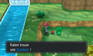 Village Pokémon Guérison XY.png