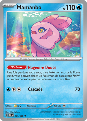 Carte Écarlate et Violet Foudre Noire 024.png