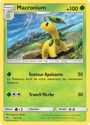 Carte Soleil et Lune Tonnerre Perdu 7.png