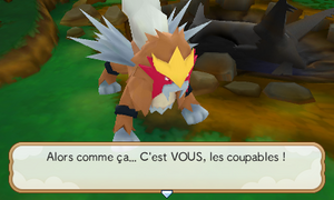Forêt Mystique (6) PMDM.png