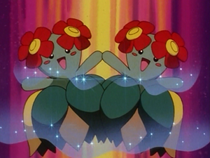 Joliflor Poudre Dodo.png