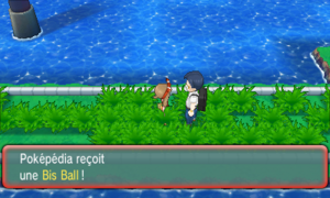 Route 110 Bis Ball ROSA.png