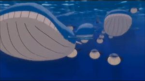 Wailord film 9.png