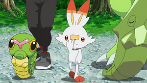 LV007 - Chenipan de Goh.png